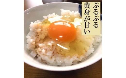 江原ファーム 地養卵＆アローカナハーフセット 計３０個 割れ補償 | 卵 30個 食べ比べ 玉子 たまご タマゴ 生卵 鶏卵 生みたて 産みたて アローカナ 地養卵 食べくらべ セット 新鮮 濃厚 健康 青い卵 TKG たまごかけごはん ご飯のお供 国産 ギフト 贈答 贈り物 お中元 お歳暮 プレゼント 茨城県 古河市 直送 農家直送 産地直送 送料無料 _AG07