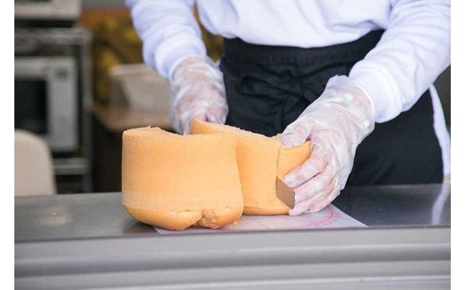 シフォンケーキ詰め合わせ　10個セット ※北海道・沖縄・離島への配送不可 | シフォンケーキ ケーキ スイーツ お菓子 菓子 おやつ 詰合せ セット 食べ比べ おいしい 手軽 カット 茨城県 古河市 _CN02