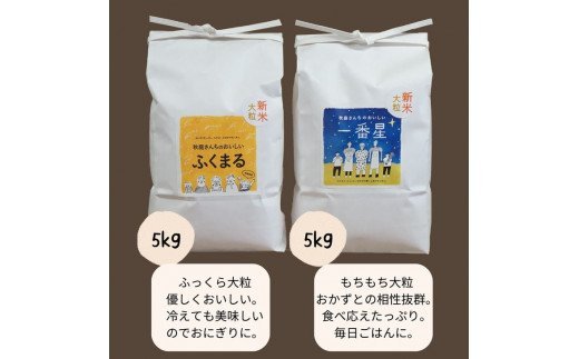 令和4年産　あきばさんちのおいしい大粒のおこめ２種（精米5kg×２袋）計10kg_CR01