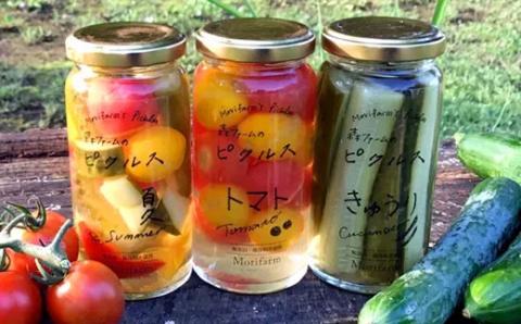 【無添加】季節の森ファームのピクルス 6個セット ※着日指定不可 | ピクルス ぴくるす 野菜ソムリエ おいしい おしゃれ 食べくらべ 取り寄せ 取り寄せ お取り寄せ ギフト 贈答 贈り物 プレゼント 父の日 お中元 お歳暮 御歳暮 茨城県 古河市 直送 店舗直送 送料無料 _BI89