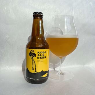 こだわりの3本（花桃・生姜・山椒）飲み比べギフトセット_CW04｜ 酒 ビール クラフトビール 詰合せ 詰め合わせ セット アソート こだわり 人気 ギフト 贈答 贈り物 プレゼント お中元 お歳暮 茨城県 古河市 ※北海道・沖縄・離島への配送不可 ※2025年1月中旬頃より順次発送予定