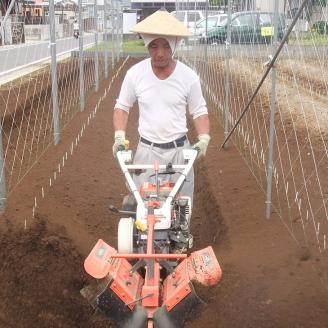自然薯（2本 約1.2kg） | とろろ 1.2キロ ご飯のお供 野菜 栽培 健康 栄養 山芋 山の芋 国産 産地直送 農家直送 贈答 贈り物 プレゼント 茨城県 古河市 荒井農産 直送 農家直送 産地直送 送料無料 _AC01