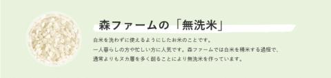 スプリングライス ミルキークィーン (無洗米) 2kg ※着日指定不可 | 米 こめ コメ 2キロ 無洗米 白米 ミルキークイーン みるきーくいーん 古河市産 茨城県産 取り寄せ お取り寄せ ギフト 贈答 贈り物 プレゼント お中元 お歳暮　 茨城県 古河市 直送 農家直送 産地直送 送料無料 _BI35