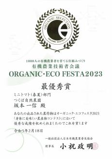 オーガニック高糖度ミニトマト「ロッソナポリタン」【農薬・肥料不使用】＜茨城県共通返礼品・つくばみらい市＞ ※2023年6月上旬～8月下旬頃に順次発送予定 | トマト とまと 薩摩芋 茨城県 _DM03