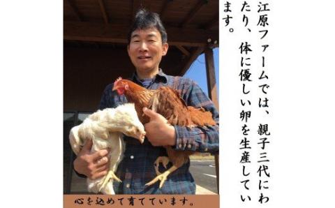 江原ファーム 地養卵＆アローカナハーフセット 計３０個 割れ補償 | 卵 30個 食べ比べ 玉子 たまご タマゴ 生卵 鶏卵 生みたて 産みたて アローカナ 地養卵 食べくらべ セット 新鮮 濃厚 健康 青い卵 TKG たまごかけごはん ご飯のお供 国産 ギフト 贈答 贈り物 お中元 お歳暮 プレゼント 茨城県 古河市 直送 農家直送 産地直送 送料無料 _AG07