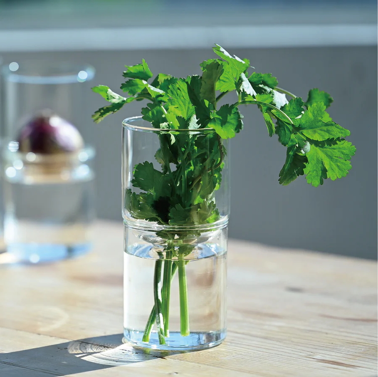 HARIO ガラスの花器 GK-200-TB ※離島への配送不可 | ガラス ハリオ はりお 耐熱 花瓶 水耕栽培 花 インテリア 日用品 便利 簡単 手軽 おしゃれ ギフト 贈答 贈り物 プレゼント お祝 記念品 景品 茨城県 古河市_EB53