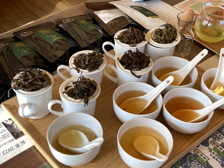 茶園見学ツアー2名様チケット | 体験 茶園 老舗 さしま茶 猿島茶 和紅茶 いずみ 吉田茶園 茨城県 古河市 関東 送料無料 _BM06