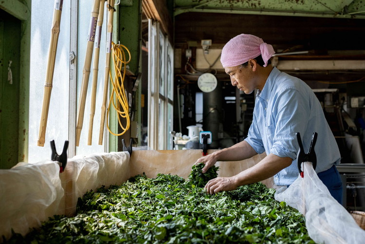 【7年連続1位】【幻の品種】【創業1839年】伝統ある茶園が贈る幻の茶品種「いずみ」の和紅茶＆緑茶の「さしま茶満喫茶セット」 | お茶 紅茶 セット 茶 緑茶 和紅茶 茶葉 日本茶 煎茶 さしま茶 猿島茶 飲みくらべ 飲み比べ 詰合せ 詰め合わせ 取り寄せ お取り寄せ 老舗 ギフト 贈答 贈り物 プレゼント お中元 お歳暮 茨城県 古河市 直送 農家直送 産地直送 送料無料 _BM11