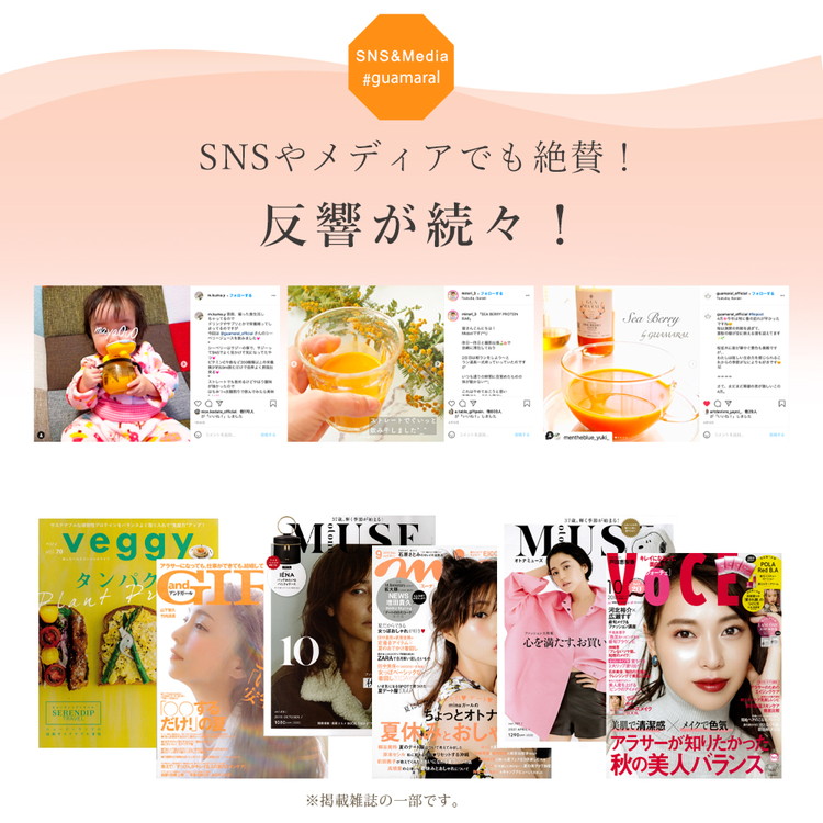 【定期便2カ月】サジー グアマラルサジー 1000ml　毎月1本2カ月コース｜ サジージュース 定期便 サジー シーベリー 沙棘 グアマラル 健康ドリンク ドリンク ジュース 健康 美容 栄養 果汁 鉄分補給 栄養補給 健康食品 贈答 贈り物 プレゼント ギフト 茨城県 古河市 送料無料 _DX18