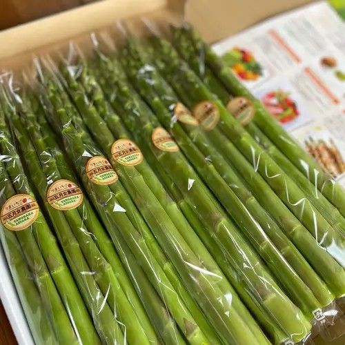 やわらかアスパラガス　100g×8束 ※2025年8月中旬～9月中旬頃に発送予定｜あすぱら アスパラ アスパラガス　800g　おいしい ギフト 贈答 贈り物 プレゼント お祝い ご褒美 家庭用_FR02
