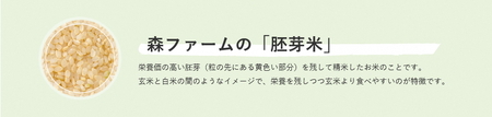 スプリングライス こしひかり・ミルキークィーン ブレンド (胚芽米) 5kg | 米 こめ コメ 5キロ 胚芽米 ブレンド米 こしひかり コシヒカリ ミルキークイーン みるきーくいーん もちもち 古河市産 茨城県産 取り寄せ お取り寄せ ギフト 贈答 贈り物 プレゼント お中元 お歳暮 茨城県 古河市 直送 農家直送 産地直送 送料無料 _BI51
