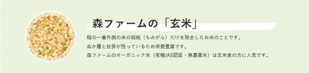 スプリングライス ミルキークィーン (玄米) 5kg | 米 こめ コメ 5キロ 玄米 ミルキークイーン みるきーくいーん 古河市産 茨城県産 取り寄せ お取り寄せ ギフト 贈答 贈り物 プレゼント お中元 お歳暮 茨城県 古河市 直送 農家直送 産地直送 送料無料 _BI62