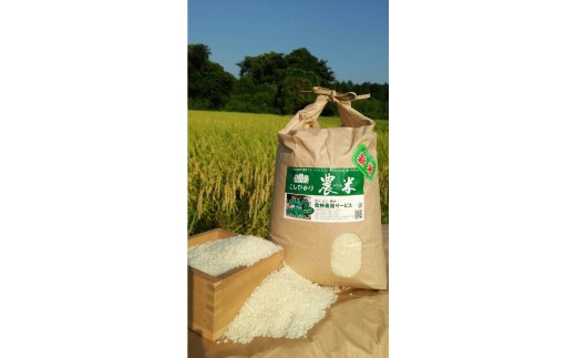 【令和7年産】【新米】古河市産　コシヒカリ5kg【倉持農園】 | 米 こめ コメ こしひかり コシヒカリ 5キロ 古河市産 茨城県産 贈答 贈り物 プレゼント 茨城県 古河市 直送 農家直送 産地直送 送料無料 _AN03 ※2025年11月上旬頃より順次発送予定