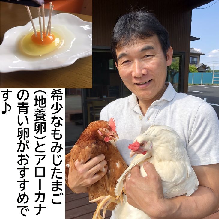 【定期便6か月】 江原ファーム　地養卵＆アローカナハーフセット（計20個）｜卵 たまご タマゴ 生みたて 産みたて 新鮮 濃厚 健康 赤玉 青い卵 産地直送_AG26