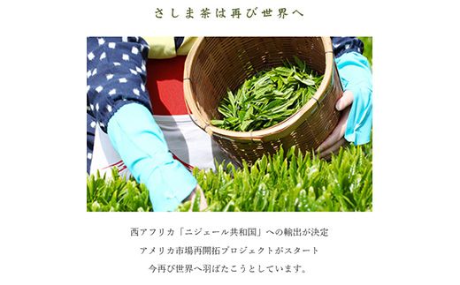 さしま茶ペットボトル2ケース（350ml 24本入り×2ケース） ※着日指定不可 | お茶 ペットボトル 350ml×48本 茶 緑茶 日本茶 猿島茶 さしま茶 飲み物 ドリンク 日常 まとめ 箱 ケース ギフト 贈答 贈り物 プレゼント お中元 お歳暮 茨城県 古河市 送料無料 _CD02