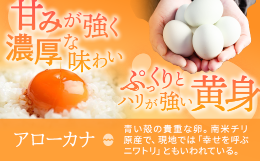 【定期便3か月】関匠卵　ひびき+アローカナハーフセット（計20個×3か月）｜卵 赤玉 アローカナ 青玉 セット 食べ比べ 詰合せ ギフト 贈答 プレゼント 栄養 生みたて 新鮮 生卵 数量限定 関養鶏場 茨城県 古河市 _CP07 ※北海道・沖縄・離島への配送不可