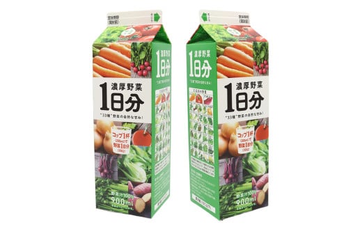 【定期便3カ月】野菜工房　濃厚野菜1日分 6本 | 野菜 ドリンク ジュース 砂糖不使用 食塩不使用 朝食 野菜ジュース 飲みやすい 便利 手軽 おいしい 美味しい 茨城県 古河市 _DT16