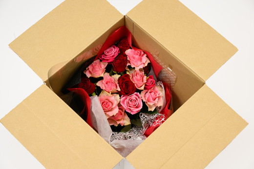 古河市三和産バラの花束｜花 フラワー 生花 切り花 ばら 薔薇 ローズ 包装 ご家庭用 ギフト 記念日 誕生日 結婚記念日 送別 歓迎 イベント 発表会 卒業式 サプライズ お祝い プレゼント 贈答 贈り物 茨城県 古河市 _DP80 ※北海道・沖縄・離島への配送不可