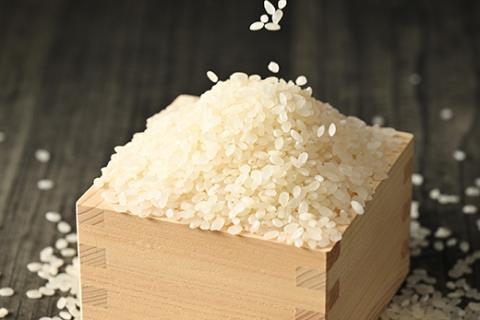 【令和7年産 新米】にじのきらめき 精米5kg【荒川アグリ】 | 米 こめ コメ 5キロ 精米 虹のきらめき にじきら 古河市産 茨城県産 贈答 贈り物 プレゼント 茨城県 古河市 直送 農家直送 産地直送 送料無料 ※2025年10月上旬頃より順次発送予定 _DH04