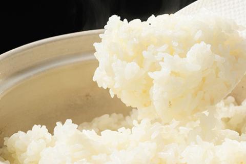 【令和7年産 新米】食べ比べ　にじのきらめき・コシヒカリ 合計4kg【荒川アグリ】 | 米 こめ コメ 4キロ 精米 食べ比べ 食べくらべ 虹のきらめき にじきら こしひかり コシヒカリ 古河市産 茨城県産 贈答 贈り物 プレゼント 茨城県 古河市 直送 農家直送 産地直送 送料無料 ※2025年10月上旬頃より順次発送予定 _DH05