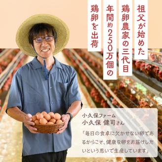 【定期便（３カ月）】小久保ファーム　濃厚卵黄　産みたてたまご　赤玉30個入り（M玉） ※着日指定不可 | 卵 定期便 30個 赤玉 玉子 たまご タマゴ 生卵 鶏卵 生みたて 産みたて 新鮮 濃厚 健康 TKG たまごかけごはん ご飯のお供 国産 ギフト 贈答 贈り物 お中元 お歳暮 プレゼント 茨城県 古河市 直送 農家直送 産地直送 送料無料 _EI04