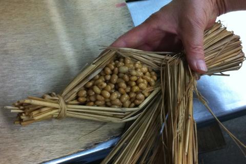 藁納豆　輝5本入り ※着日指定不可 | 納豆 なっとう ナットウ 健康 発酵 食品 食料 わら セット 詰合せ 詰め合わせ ギフト 贈答 贈り物 プレゼント お中元 お歳暮 お祝 ご褒美 記念日 記念品 大豆 だいず ダイズ 豆 納豆店 茨城県 古河市 _ES01