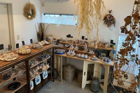 rojiのパンセット（おまかせ10種類 各1個） | パン ぱん 詰合せ 冷凍 天然酵母 もっちり 食べ比べ 食べくらべ セット 詰め合わせ おしゃれ おいしい ギフト 贈答 贈り物 プレゼント 茨城県 古河市 送料無料 _EV01