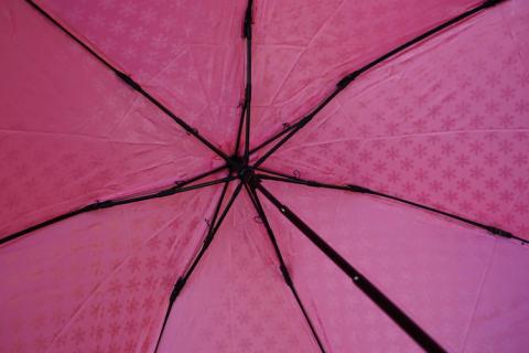 雪華模様の折り畳み傘（サイズ55cm）カラー：ピンク | 傘 かさ 折りたたみ傘 55センチ 雨具 メンズ レディース 兼用 雪の結晶 ピンク おしゃれ かわいい 雨 梅雨 贈答 贈り物 プレゼント 父の日 母の日 お中元 お歳暮 御歳暮 茨城県 古河市 送料無料 _BL04