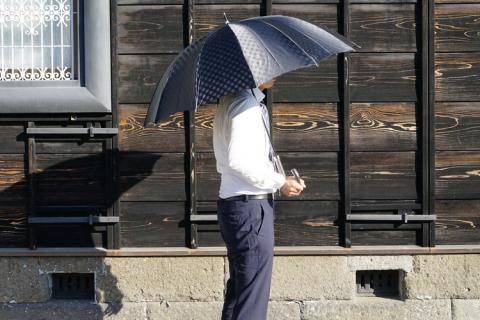 雪華模様のオリジナル傘（サイズ65cm）カラー：ブラック | 傘 かさ 65センチ 雨具 メンズ レディース 兼用 雪の結晶 ブラック 黒 おしゃれ かわいい スタイリッシュ 雨 梅雨 贈答 贈り物 プレゼント 父の日 母の日 お中元 お歳暮 御歳暮 茨城県 古河市 送料無料 _BL09