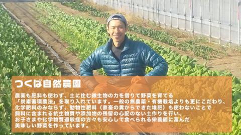 オーガニックさつまいも(紅はるか）5kg【農薬・肥料不使用】土つき〈茨城県共通返礼品・つくばみらい市〉 ※2023年9月上旬～2024年2月下旬頃に順次発送予定 | さつまいも サツマイモ 薩摩芋 茨城県 _DM01