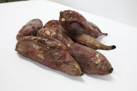 訳あり 期間限定 完熟やきいも「焼きこがはるか」(3kg) ※着日指定不可 ※離島への配送不可 | 焼き芋 さつまいも 3キロ 紅はるか 冷凍 おやつ スイーツ 国産 ギフト 贈答 贈り物 プレゼント 茨城県 古河市 直送 農家直送 産地直送 送料無料 _CM04