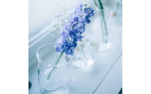 HARIO ビーカー 200ml [BK-200] | 耐熱 ガラス HARIO ハリオ 食器 器 キッチン 日用品 キッチン用品 日本製 おしゃれ かわいい コーヒー サーバー 花瓶 フラワーベース 軽量カップ 電子レンジ可 ビーカー _FU46　※離島への配送不可