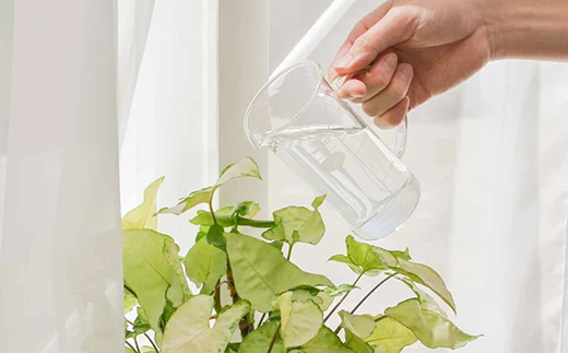 HARIO トールビーカーサーバー 300ml [TBV-300] | 耐熱 ガラス HARIO ハリオ 食器 器 キッチン 日用品 キッチン用品 日本製 おしゃれ かわいい コーヒー サーバー 花瓶 フラワーベース 軽量カップ 電子レンジ可 ビーカー _FU48　※離島への配送不可