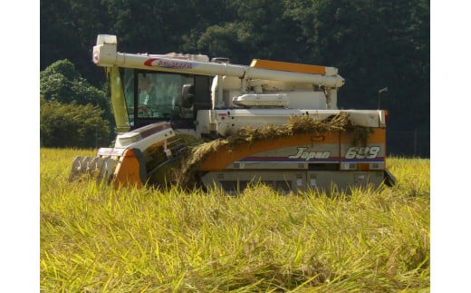 【令和7年産】毎月届く定期便！古河市産コシヒカリ5kg×3回【小久保農園】米/頒布会/分割配送/こしひかり/15kg_AS12