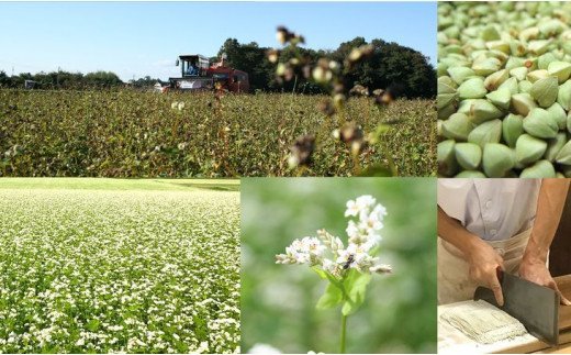 茹でるだけ！ツルッとなめらかな喉越し！生そば３人前・つゆ付き≪生そば 手打ち 無添加≫ ※離島不可（北海道、沖縄本島は配送可能） | そば ソバ 蕎麦 生麺 常陸そば 常陸秋そば 石臼製粉 取り寄せ お取り寄せ ギフト 贈答 贈り物 プレゼント 茨城県 古河市 直送 農家直送 産地直送 送料無料 _BI11