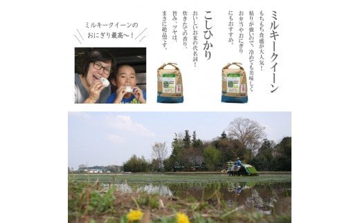 【定期便】1年間毎月届く！低農薬米こしひかり（偶数月）とミルキークイーン（奇数月）5kg ※季節の特産品付き | 米 こめ コメ 5キロ 定期便 低農薬米 食べ比べ 食べくらべ こしひかり コシヒカリ ミルキークイーン みるきーくいーん 特産品 古河市産 茨城県産 贈答 贈り物 プレゼント 茨城県 古河市 直送 農家直送 産地直送 送料無料 _BI03
