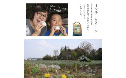 【定期便】1年間毎月届く！低農薬米ミルキークイーン2kg | 米 こめ コメ 2キロ 定期便 低農薬米 ミルキークイーン みるきーくいーん 特産品 古河市産 茨城県産 贈答 贈り物 プレゼント 茨城県 古河市 直送 農家直送 産地直送 送料無料 _BI04