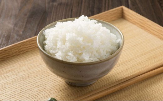 【令和7年産】【新米】茨城県産コシヒカリ10kg（5kg×2袋）精米JA茨城むつみ | 米 こめ コメ 10キロ 精米 こしひかり コシヒカリ 茨城県産 贈答 贈り物 プレゼント 茨城県 古河市 JA 農協 直送 産地直送 送料無料 _CL05 ※2025年10月下旬頃より順次発送予定