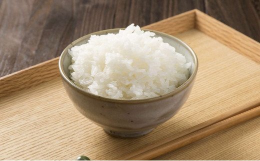 【令和7年産】茨城県産コシヒカリ20kg（10kg×2袋）精米JA茨城むつみ | 米 こめ コメ 20キロ 精米 こしひかり コシヒカリ 茨城県産 贈答 贈り物 プレゼント 茨城県 古河市 JA 農協 直送 産地直送 送料無料 _CL06 ※2025年10月下旬頃より順次発送予定