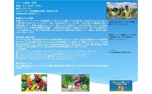 野菜ソムリエが栽培するヨーロッパ野菜と旬の野菜セット ※着日指定不可 ※沖縄・離島への配送不可 ※2023年4月中旬～12月下旬頃に順次発送予定 | 野菜 詰合せ 詰め合わせ セット アソート 野菜ソムリエ こだわり ヨーロッパ野菜 西洋野菜 新鮮 人気 ギフト 贈答 贈り物 プレゼント お中元 お歳暮 茨城県 古河市 直送 農家直送 産地直送 送料無料 _CT01