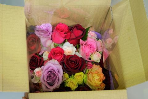 生産農家直送！大輪のバラ花束15本セット ※沖縄・離島への配送不可 | 贈答用 15本 植物 花 華 お花 フラワー 生花 切り花 花持ち ばら バラ 薔薇 ローズ 花束 ブーケ 包装 ご家庭用 ギフト 記念日 誕生日 結婚記念日 結婚 送別 歓迎 イベント 発表会 卒業式 サプライズ お祝い 自分へのご褒美 高評価 感動 癒し 女性 男性 紳士 贈答 贈り物 プレゼント 茨城県 古河市 名産 特産 直送 農家直送 産地直送 苅部バラ園 送料無料 _AL03