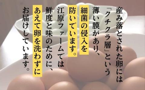 江原ファーム 体に優しい地養卵 ３０個 割れ補償 | 卵 30個 赤玉 玉子 たまご タマゴ 生卵 鶏卵 生みたて 産みたて 地養卵 新鮮 濃厚 健康 TKG たまごかけごはん ご飯のお供 国産 ギフト 贈答 贈り物 お中元 お歳暮 プレゼント 茨城県 古河市 直送 農家直送 産地直送 送料無料 _AG03