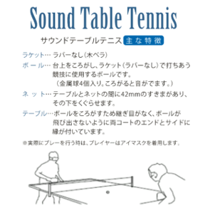 Nittaku サウンドボールクリーン 3個入×4セット｜ニッタク にったく 卓球 玉 球 ボール 金属球 3個入り 12個 練習 トレーニング 部活 スポーツ スポーツ用品 消耗品 茨城県 古河市 _AE34
