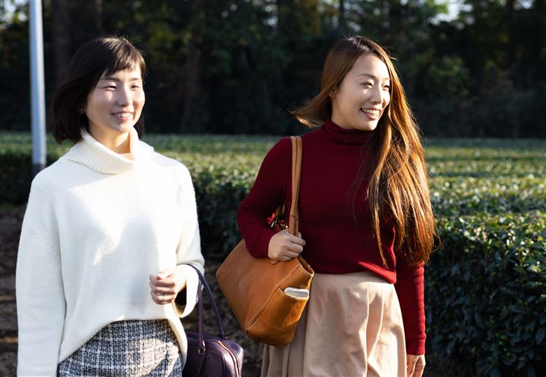 茶園見学ツアー3名様チケット | 体験 茶園 老舗 さしま茶 猿島茶 和紅茶 いずみ 吉田茶園 茨城県 古河市 関東 送料無料 _BM07