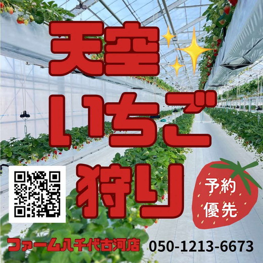 古河市 空中いちご狩り チケット 大人2枚 小学生2枚 ｜ いちご イチゴ 苺 いちご狩り 白いちご 食べ放題 ※2025年4月下旬頃より順次発送予定 _FV03