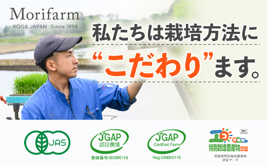 【第10回茨城いちごグランプリ大賞受賞】【先行予約】大粒いちご　紅ほっぺ（箱入・約５００g） ※2024年1月中旬頃より順次発送予定 ※離島不可（北海道、沖縄本島は配送可能） | いちご 苺 イチゴ 500グラム フルーツ おいしい 紅ほっぺ 取り寄せ お取り寄せ ギフト 贈答 贈り物 プレゼント 茨城県 古河市 直送 農家直送 産地直送 送料無料 _BI12