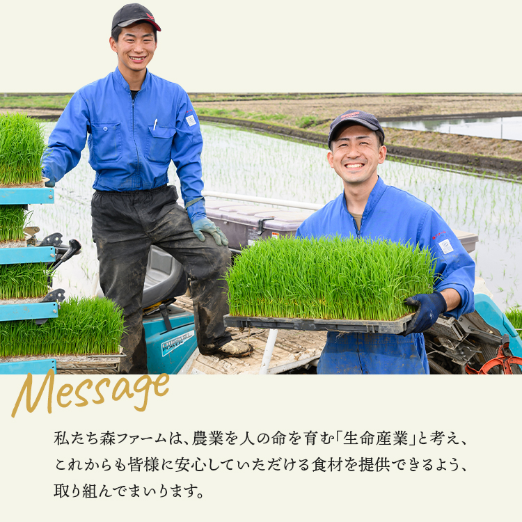 森ファームの美穀美人 ミックス 200g×3個｜健康 国産 ヘルシー 食物繊維 ブレンド 雑穀米 オーガニック 米 おいしい 便利 簡単 産地直送 ギフト 贈答 プレゼント ご褒美 600g 茨城 古河市 _BI98