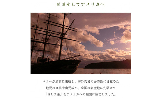 さしま茶ペットボトル１ケース（350ml 24本入り） | お茶 ペットボトル 350ml×24本 茶 緑茶 日本茶 猿島茶 さしま茶 飲み物 ドリンク 日常 まとめ 箱 ケース ギフト 贈答 贈り物 プレゼント お中元 お歳暮　 茨城県 古河市 送料無料 _CD01