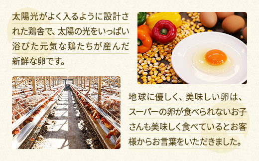 関匠卵 たくみ50個 ※北海道・沖縄・離島への配送不可 | 卵 50個 赤玉 玉子 たまご タマゴ 生卵 鶏卵 生みたて 産みたて 新鮮 濃厚 健康 TKG たまごかけごはん ご飯のお供 国産 ギフト 贈答 贈り物 お中元 お歳暮 プレゼント 茨城県 古河市 直送 農家直送 産地直送 送料無料 _CP03