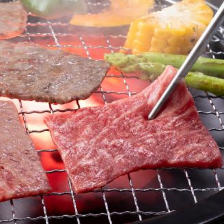 古河市で育った常陸牛！赤身（モモ・カタ）焼肉用700g | 肉 牛肉 700グラム 国産 茨城県 常陸牛 ブランド 冷凍 焼肉 BBQ 食べ比べ 食べくらべ モモ カタ セット商品 詰め合わせ バラエティ 高級 贅沢 ギフト 贈答 贈答用 プレゼント 送料無料 _AO02 ※離島への配送不可